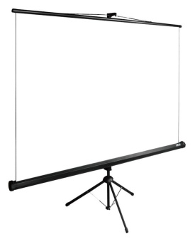 Экран Cactus 200x200см TriExpert CS-PSTE-200x200-BK 1:1 напольный рулонный черный