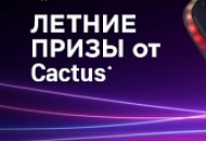 « Жаркое лето с CACTUS»!