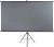Экран Lumien 84" 110x190см Sky Cinema LSС-100101 16:9 напольный натяжной белый