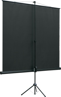 Экран на треноге Lumien 118" 220x220см Eco View LEV-100109 1:1 напольный рулонный