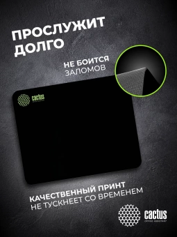 Коврик для мыши Cactus Black черный 300x250x2мм (CS-MPC-P01M)